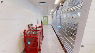 Indoor large animal housing